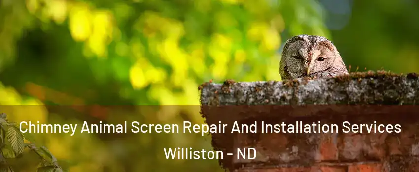  Chimney Animal Screen Repair And Installation Services Williston - ND