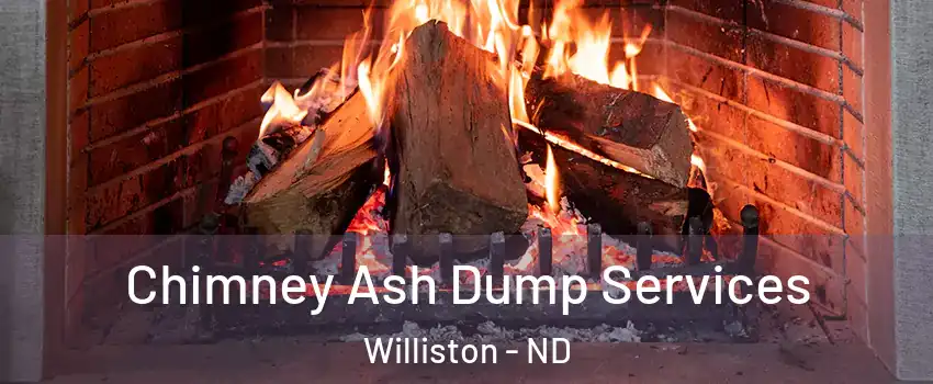  Chimney Ash Dump Services Williston - ND