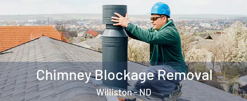  Chimney Blockage Removal Williston - ND