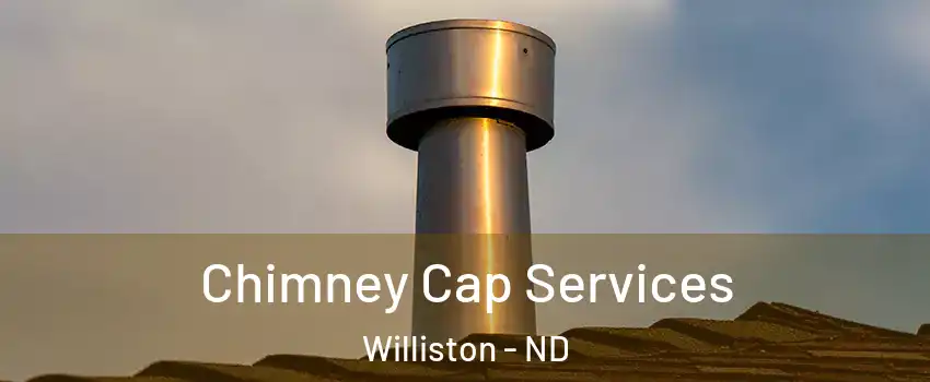  Chimney Cap Services Williston - ND