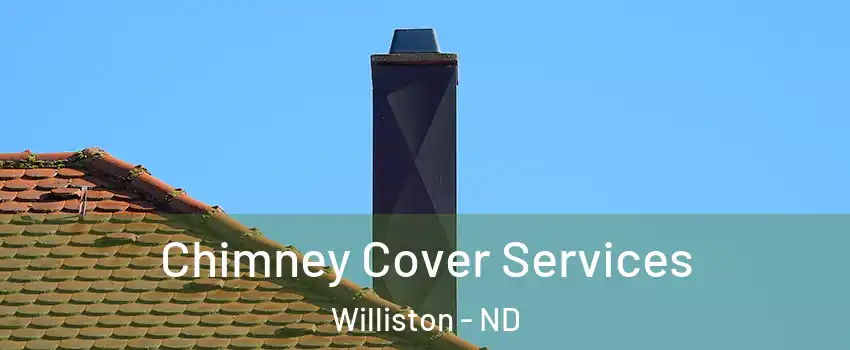  Chimney Cover Services Williston - ND