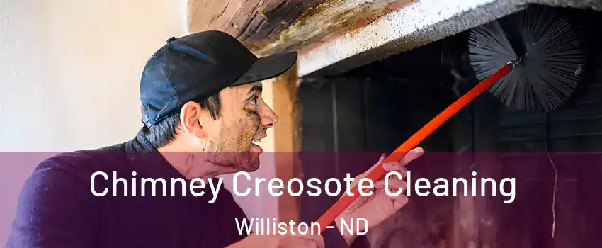  Chimney Creosote Cleaning Williston - ND