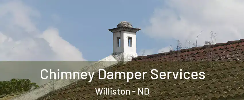  Chimney Damper Services Williston - ND