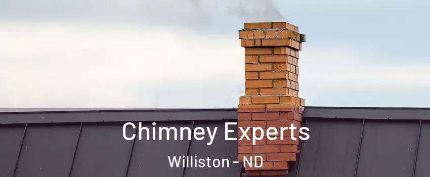  Chimney Experts Williston - ND