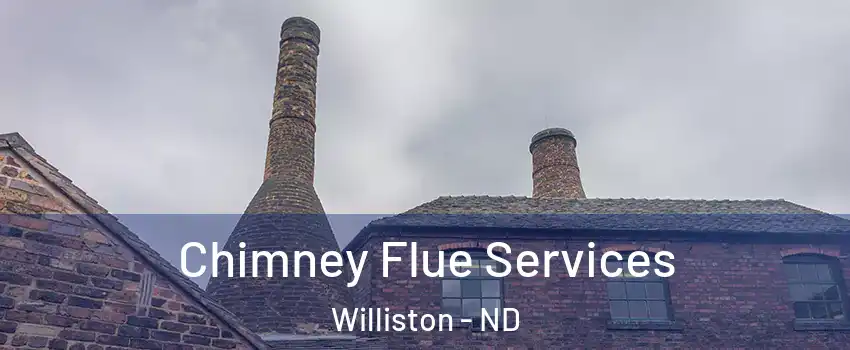  Chimney Flue Services Williston - ND