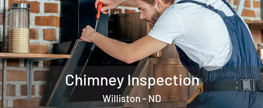  Chimney Inspection Williston - ND