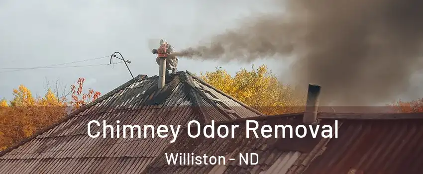  Chimney Odor Removal Williston - ND