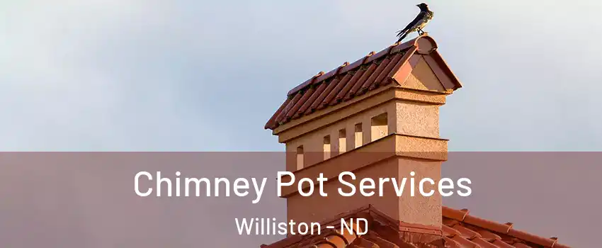  Chimney Pot Services Williston - ND