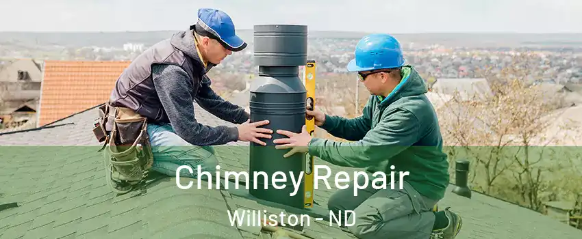  Chimney Repair Williston - ND