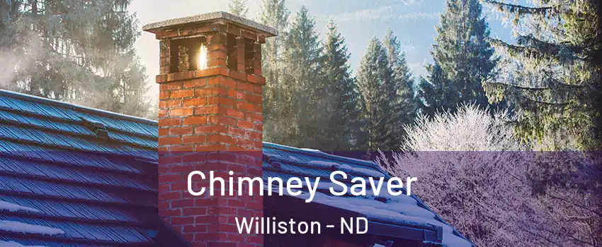  Chimney Saver Williston - ND