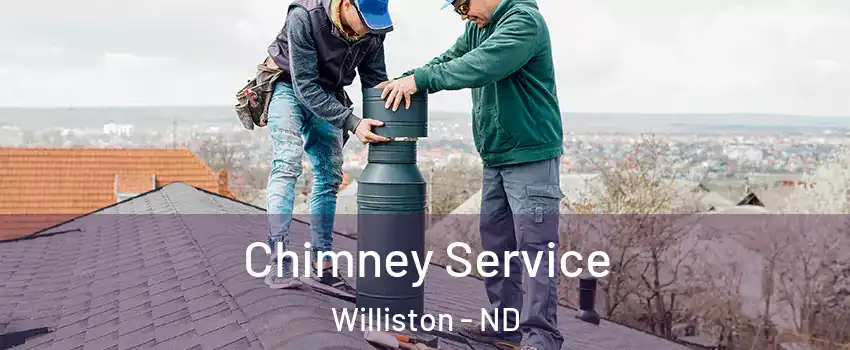  Chimney Service Williston - ND