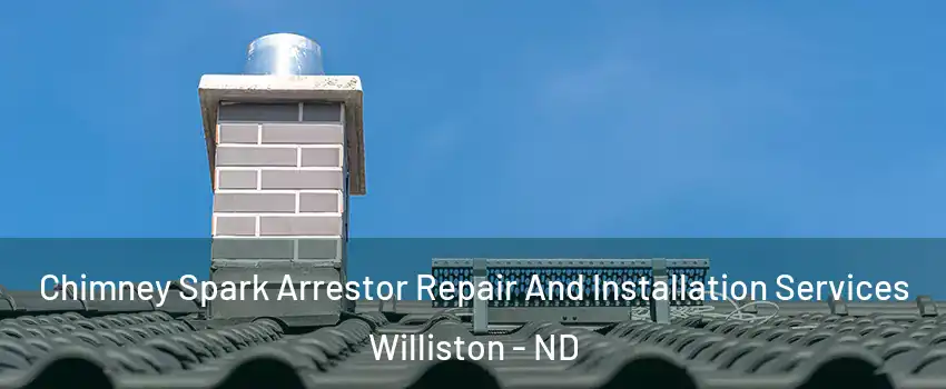  Chimney Spark Arrestor Repair And Installation Services Williston - ND
