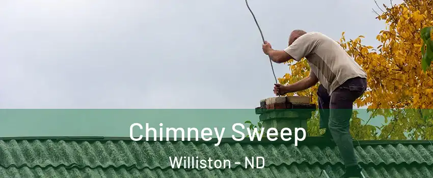  Chimney Sweep Williston - ND