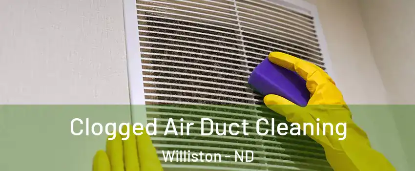  Clogged Air Duct Cleaning Williston - ND