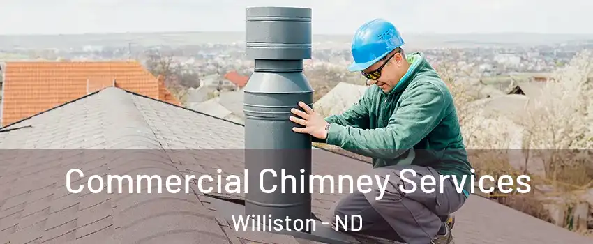  Commercial Chimney Services Williston - ND