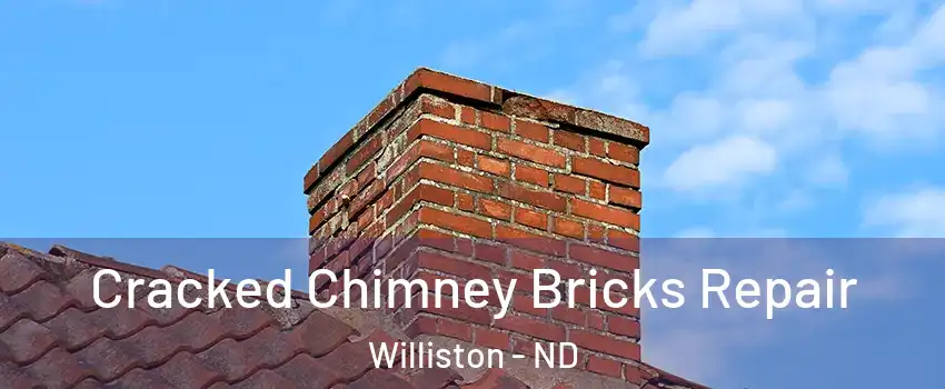  Cracked Chimney Bricks Repair Williston - ND