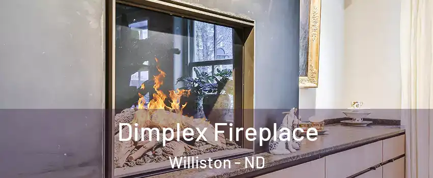  Dimplex Fireplace Williston - ND