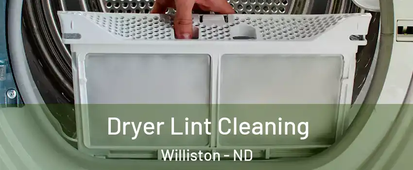  Dryer Lint Cleaning Williston - ND