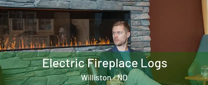  Electric Fireplace Logs Williston - ND