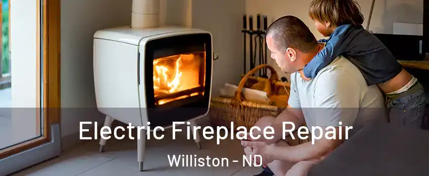  Electric Fireplace Repair Williston - ND