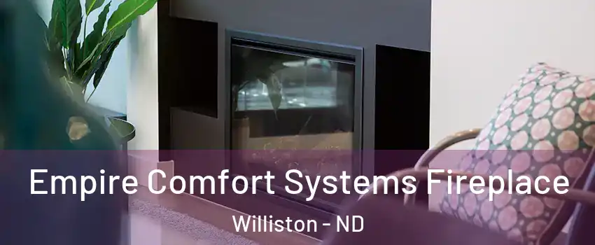  Empire Comfort Systems Fireplace Williston - ND