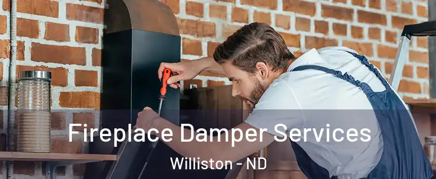 Fireplace Damper Services Williston - ND