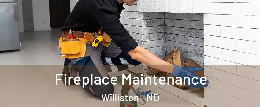  Fireplace Maintenance Williston - ND