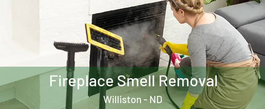  Fireplace Smell Removal Williston - ND