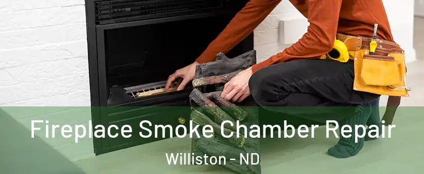  Fireplace Smoke Chamber Repair Williston - ND
