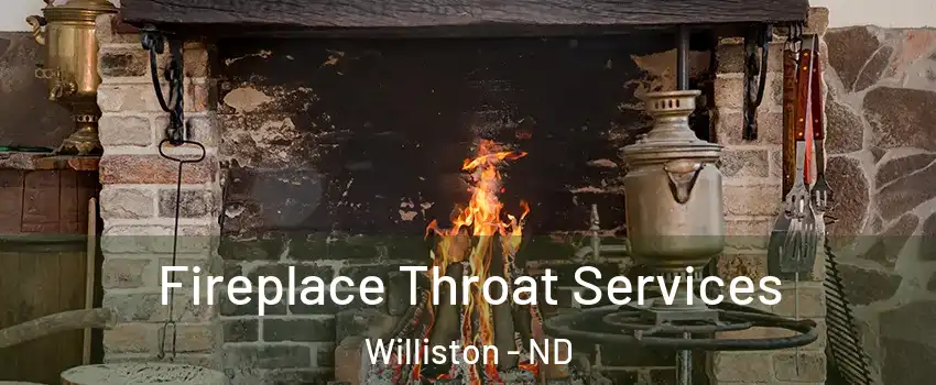  Fireplace Throat Services Williston - ND