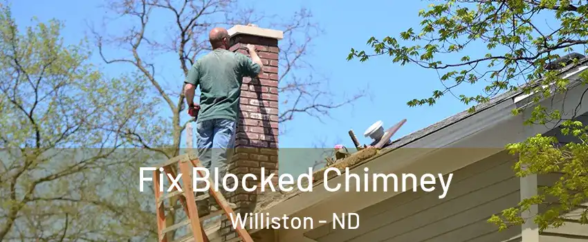  Fix Blocked Chimney Williston - ND