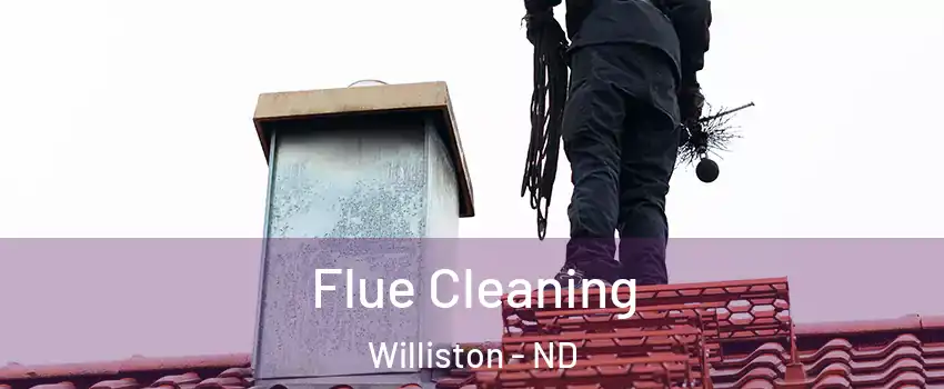  Flue Cleaning Williston - ND