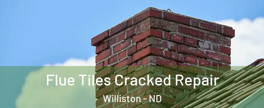  Flue Tiles Cracked Repair Williston - ND