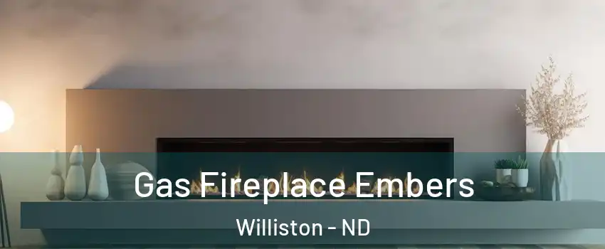  Gas Fireplace Embers Williston - ND