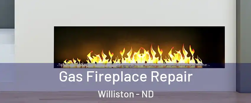  Gas Fireplace Repair Williston - ND