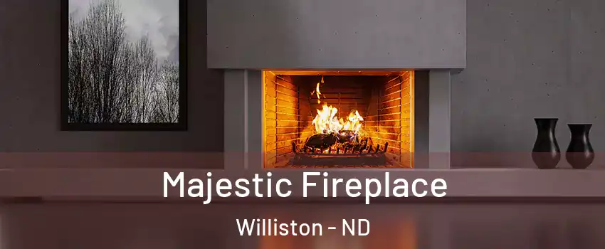  Majestic Fireplace Williston - ND