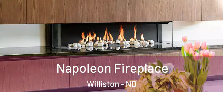  Napoleon Fireplace Williston - ND