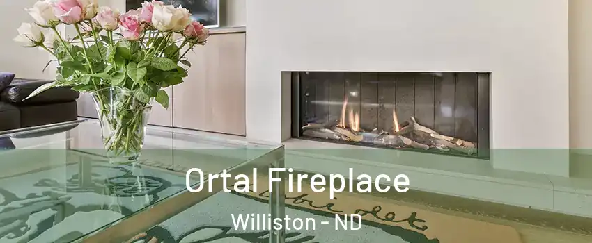  Ortal Fireplace Williston - ND