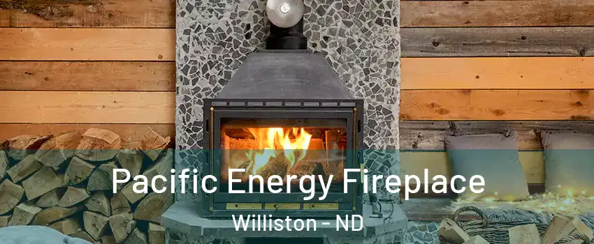  Pacific Energy Fireplace Williston - ND