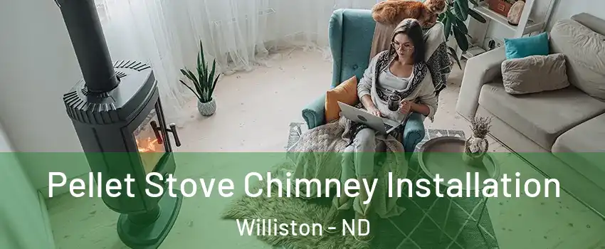  Pellet Stove Chimney Installation Williston - ND