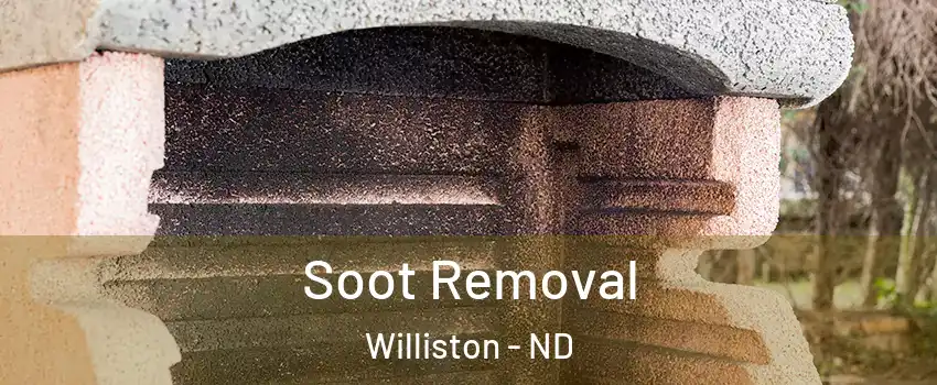  Soot Removal Williston - ND