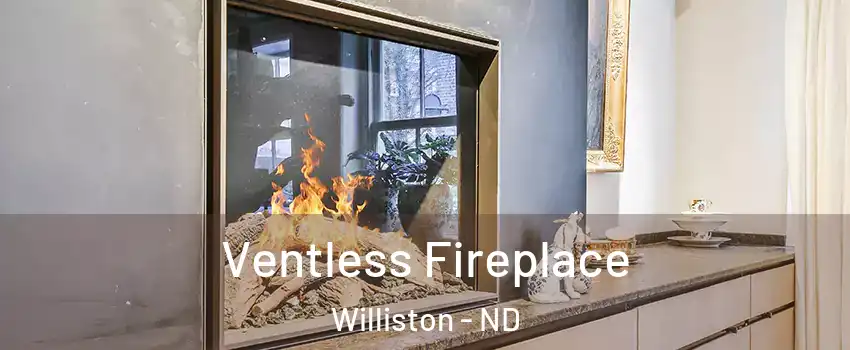  Ventless Fireplace Williston - ND